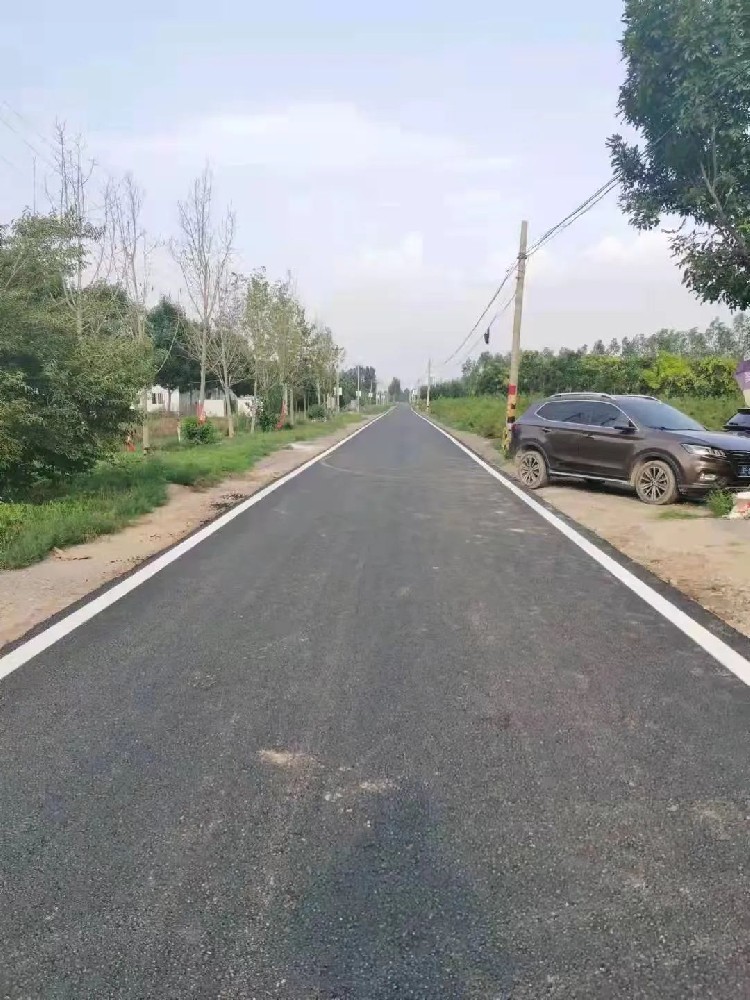 雄縣陳家柳南排干渠（張崗境內(nèi)）道路外延整修項目